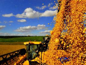 EXPURGO E PROFILAXIA